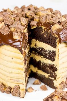 
                    
                        Reese's Chocolate Peanut Butter Cake - Spiced
                    
                