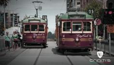 
                    
                        Melbourne Trams
                    
                