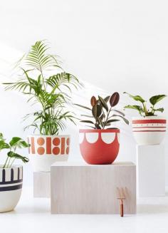 
                    
                        Plant pots from left to right. Styling – Nat Turnbull, Photo – Elise Wilken for The Design Files.
                    
                