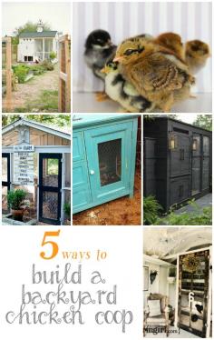 Patrick may kill me! DIY  Ideas | Have you ever dreamed of building your own backyard chicken coop and enjoying omelets with your own fresh eggs? Here are five inspiring DIY chicken coops for your backyard!