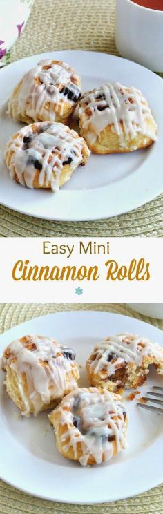 
                    
                        Easy Mini Cinnamon Rolls are precious little treats that will almost melt in your mouth. Easy to make using a pre-packaged crescent favorite. Brunch too! ~ veganinthefreezer...
                    
                