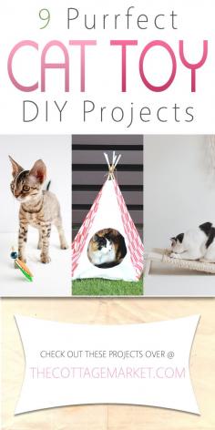 9 Purrfect Cat Toy DIY Projects - The Cottage Market 7/30/15