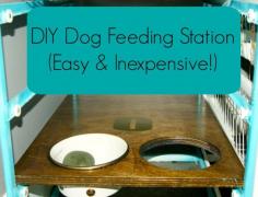 Love this Ikea Hack for a pet feeding station! My dogs love it!