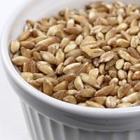 This certified-organic pearled wheat grain comes from Italy, specifically the Mugello region of Tuscany. Farro, also known as Emmer Wheat, is the world's original grain from which all others derive, including rice, barley, wheat and rye. Because it is hard to grow, farro almost became extinct after World War II. However, it is now making a big comeback, especially in Italy, where the top restaurants feature it in soups and side dishes. It has a pleasant nuttiness and a hearty texture. Naturally high in fiber, protein, and B-vitamins, it is also very low in gluten, which is good for those who have an allergy. Farro grains look like brown short-grain rice, but each grain retains a firm, chewy texture even after cooking.