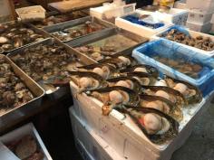 Image result for south korean seafood supply