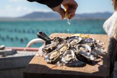 coffin bay oysters