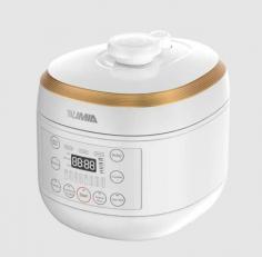 Power	700W
Features	1、one-button pressure release
2、70Kpa high pressure cooking
3、 removable sealing ring for easy clean
